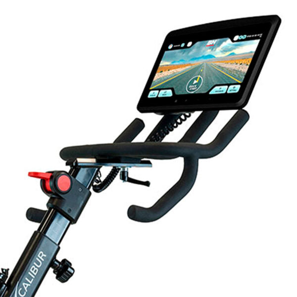 BH Fitness XCALIBUR Multimedia Indoor Bike